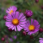 image030