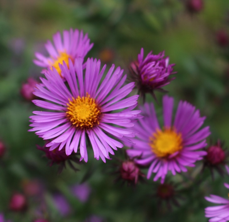 image030