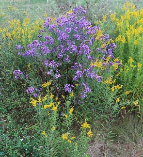 image032