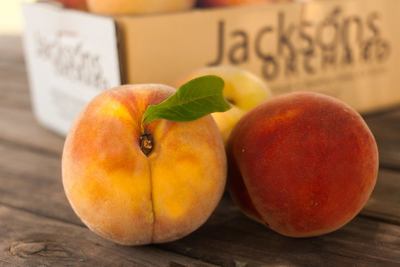 Contender Jacksons Orchard