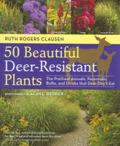 Deer Resistant Plants